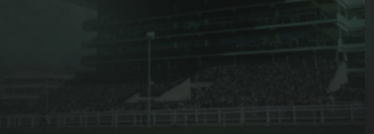 Offer Banner Horse Racing Image
